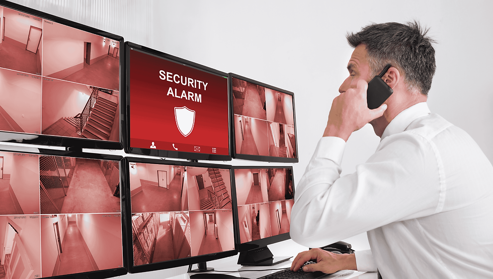 Intruder Alarm Inner Range Video Cameras