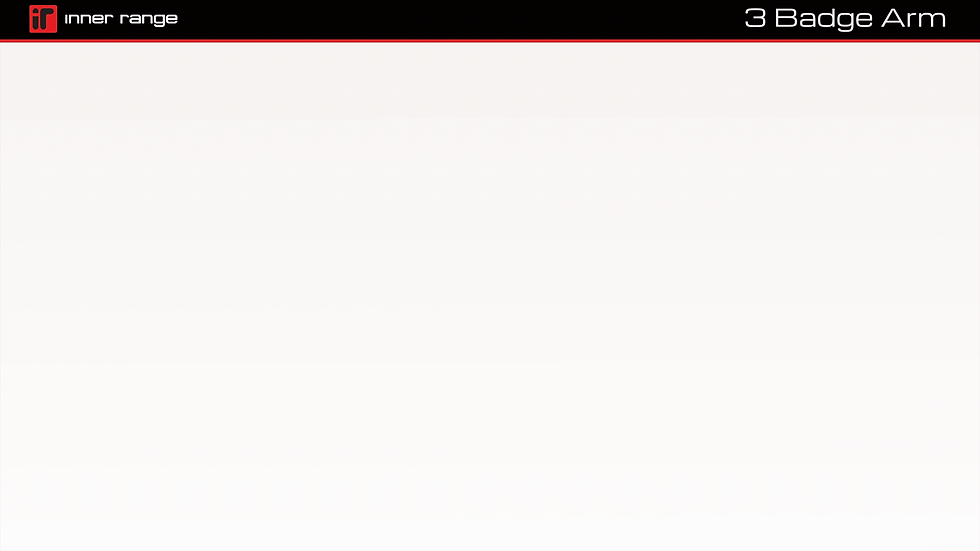 3 badge arm gif