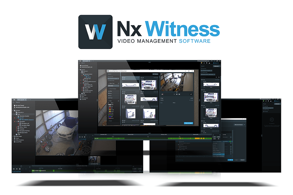NX witness video software